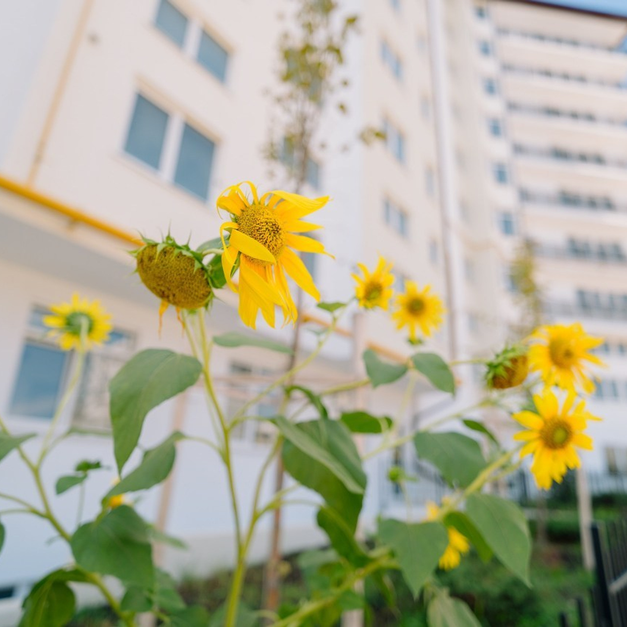 Отзывы. Фотограф\Оператор Климентьев Роман