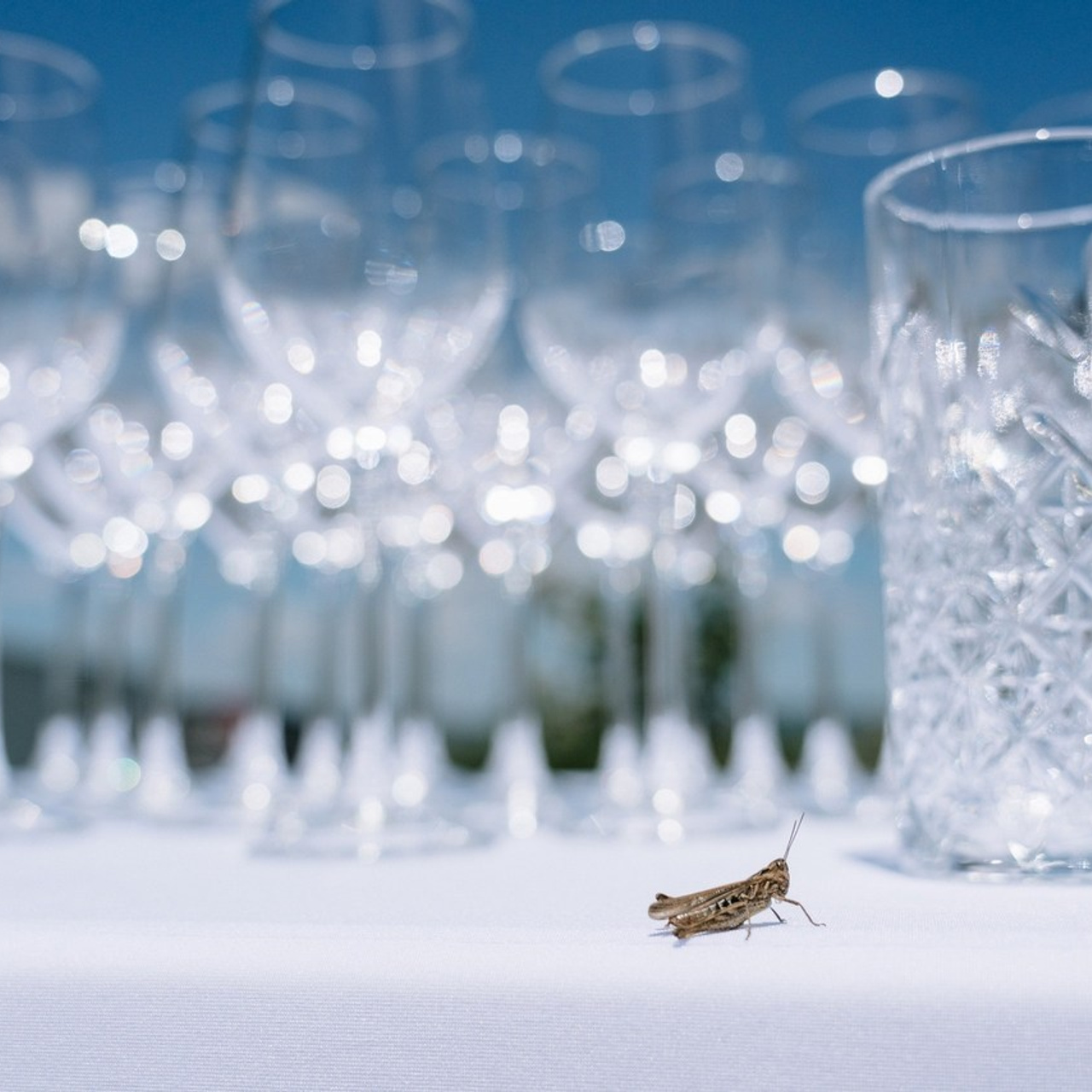 Отзывы. Фотограф\Оператор Климентьев Роман