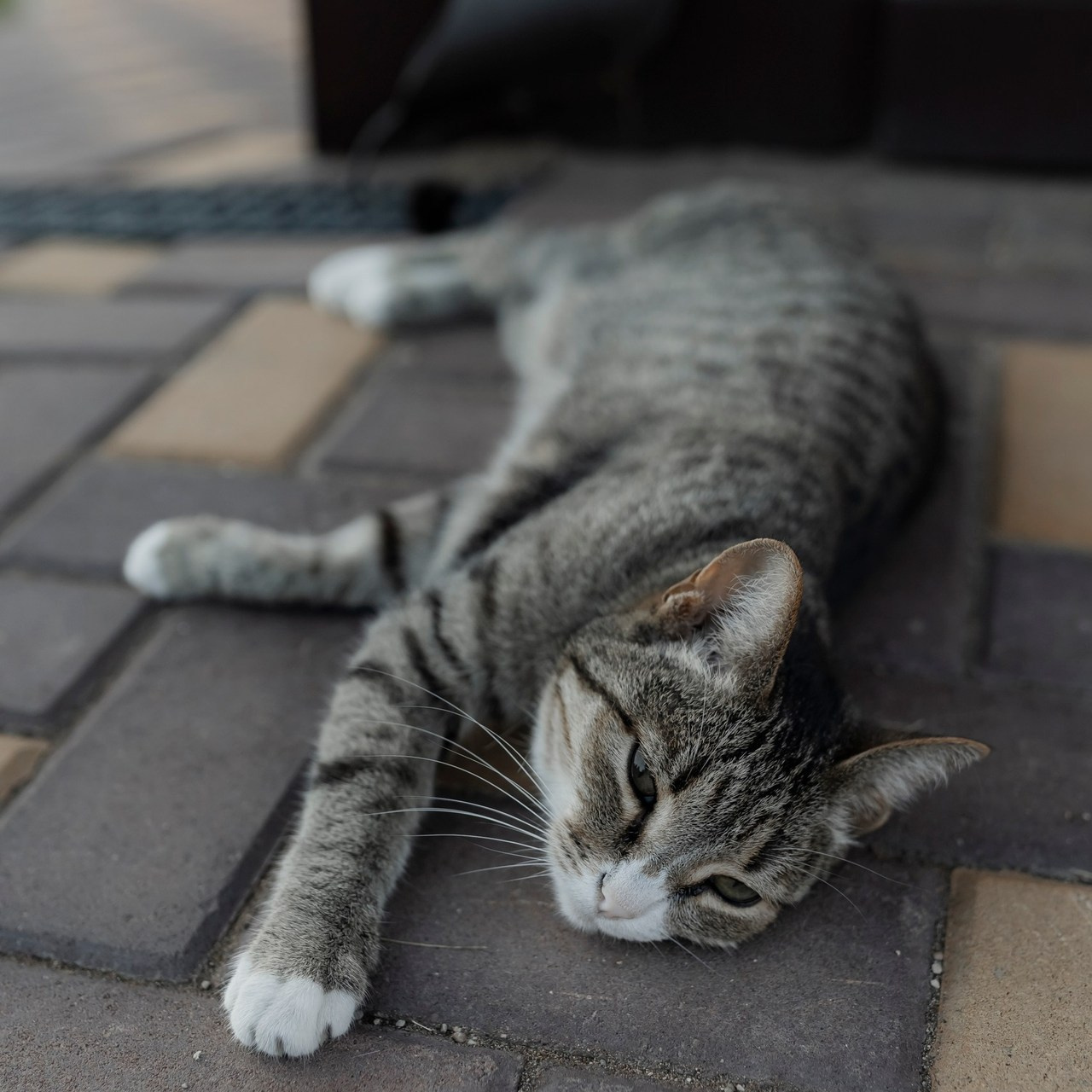 Отзывы. Лайфстайл фотограф г. Октябрьский Коростелева Анжелика