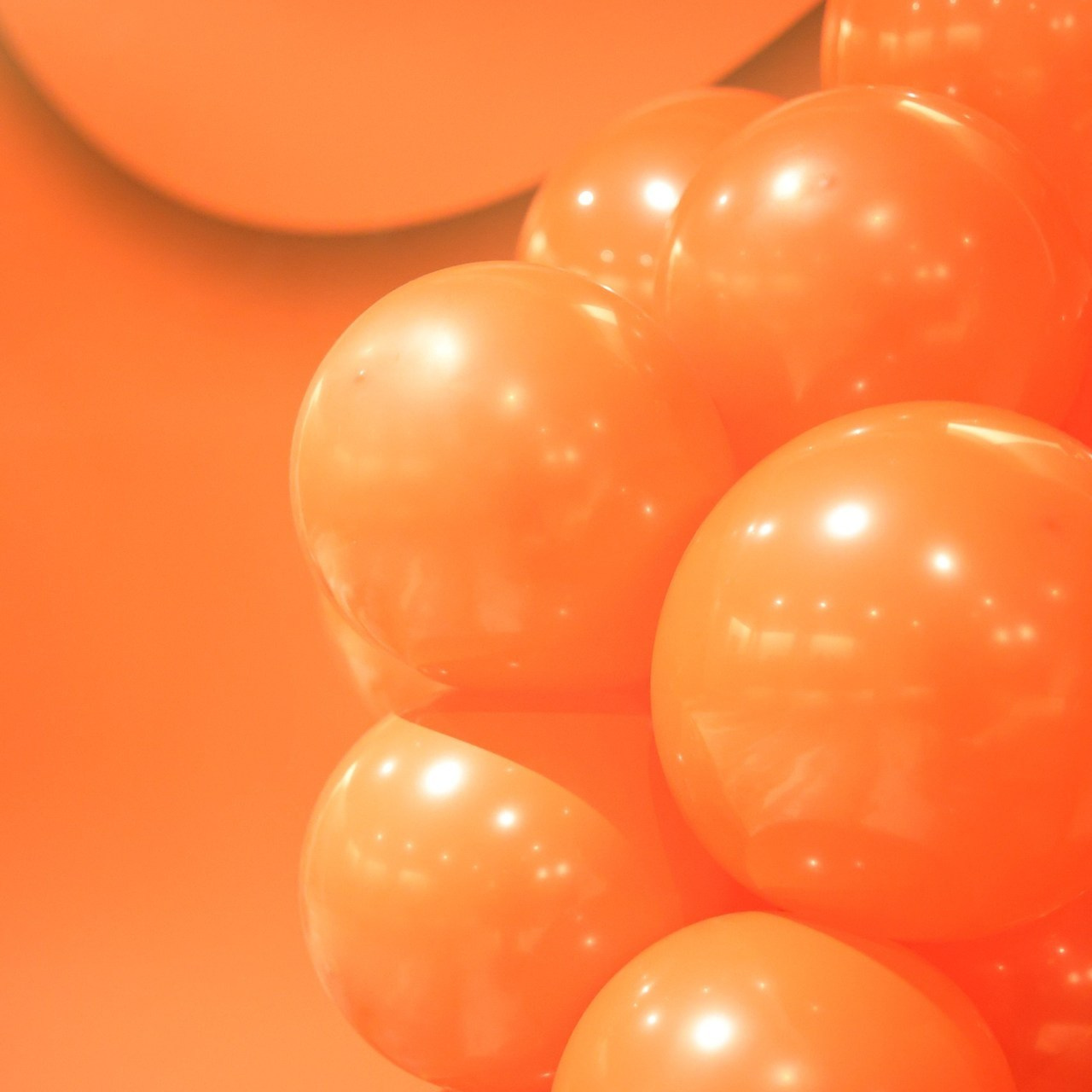 Отзывы. Мания, портретный фотограф в городе Оренбург