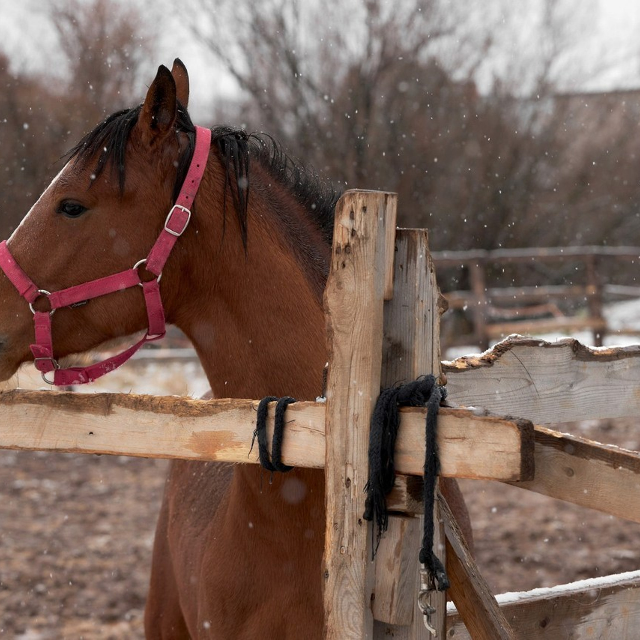 Отзывы. Фотограф Алексей Яковлев