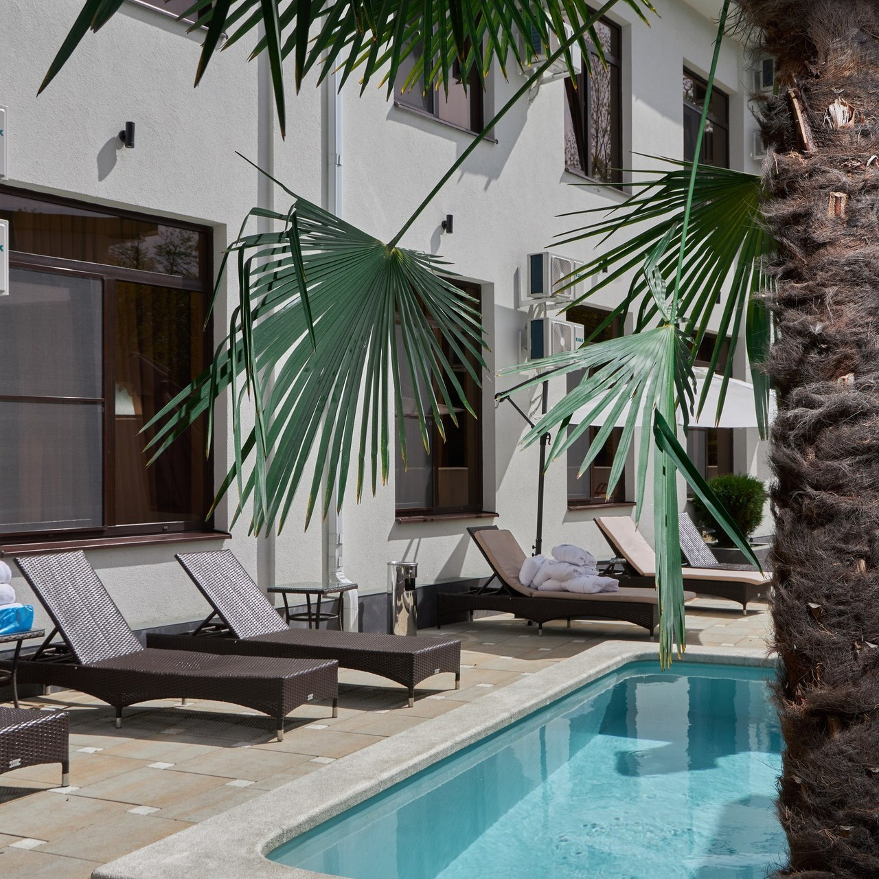 Отзывы о фотографе в Сочи Дмитрие Полянском. Фотограф в Сочи Дмитрий Полянский