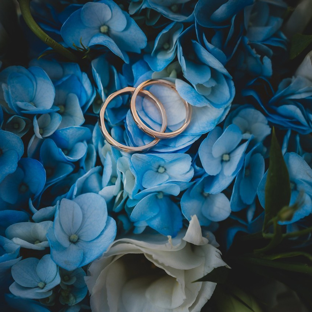 Отзывы о съемках клиентов Алисы Канцибер. Фотограф Алиса Канцибер. Москва. Портрет, семейное фото, свадьбы