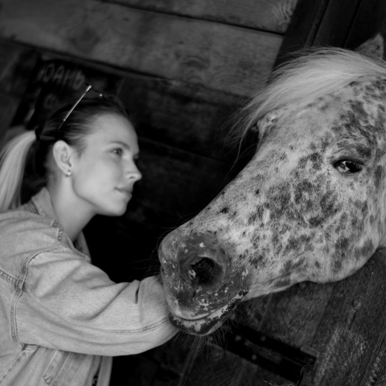 Отзывы. Фотограф Марина Доглядная Челябинск фотосессии с лошадьми, мотоциклами