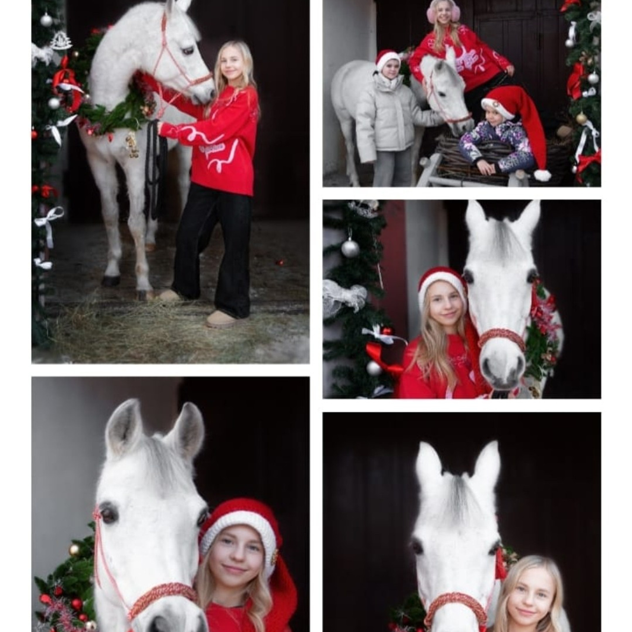 Отзывы. Фотограф Марина Доглядная Челябинск фотосессии с лошадьми, мотоциклами