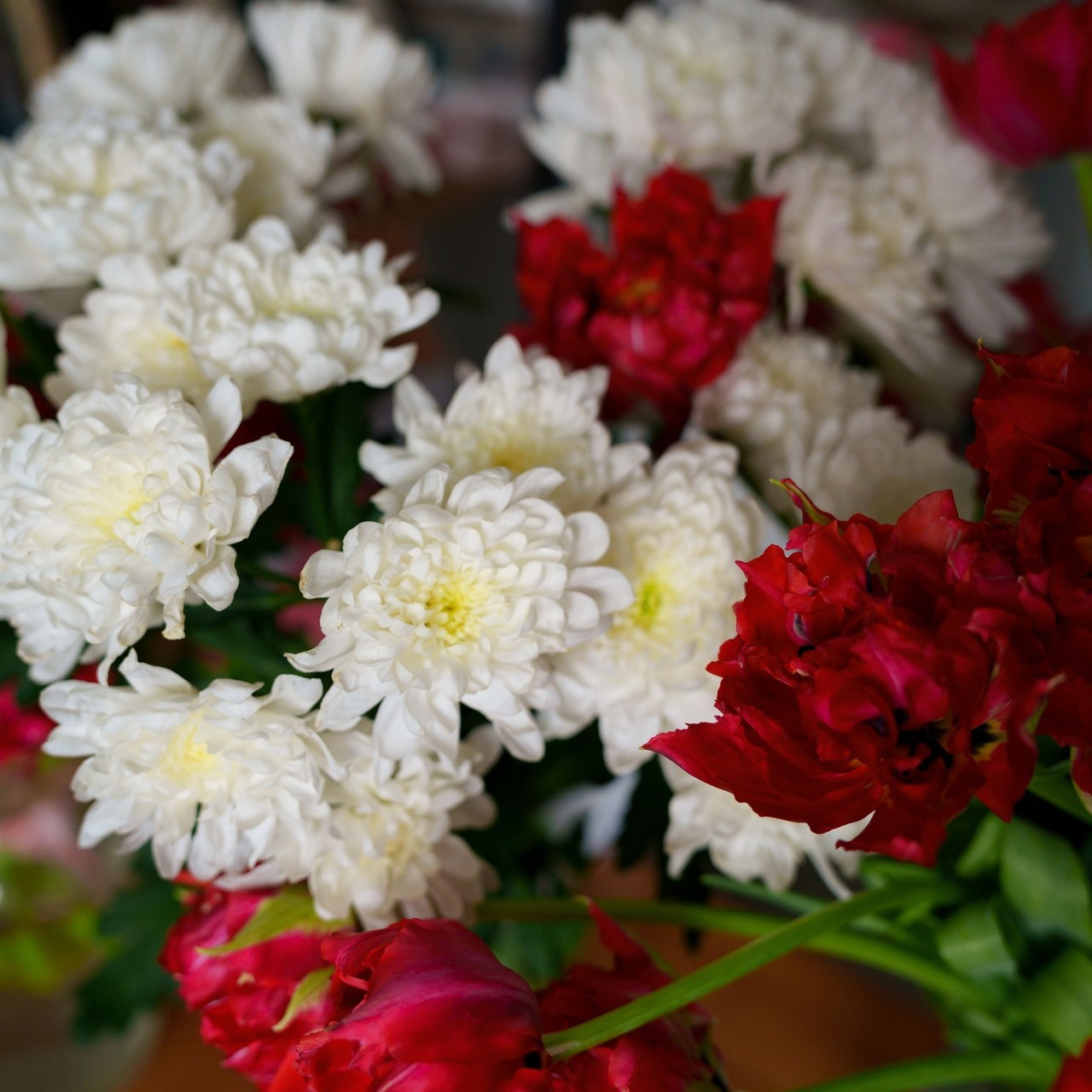 Отзывы. Фотограф Екатерина Канчалаба