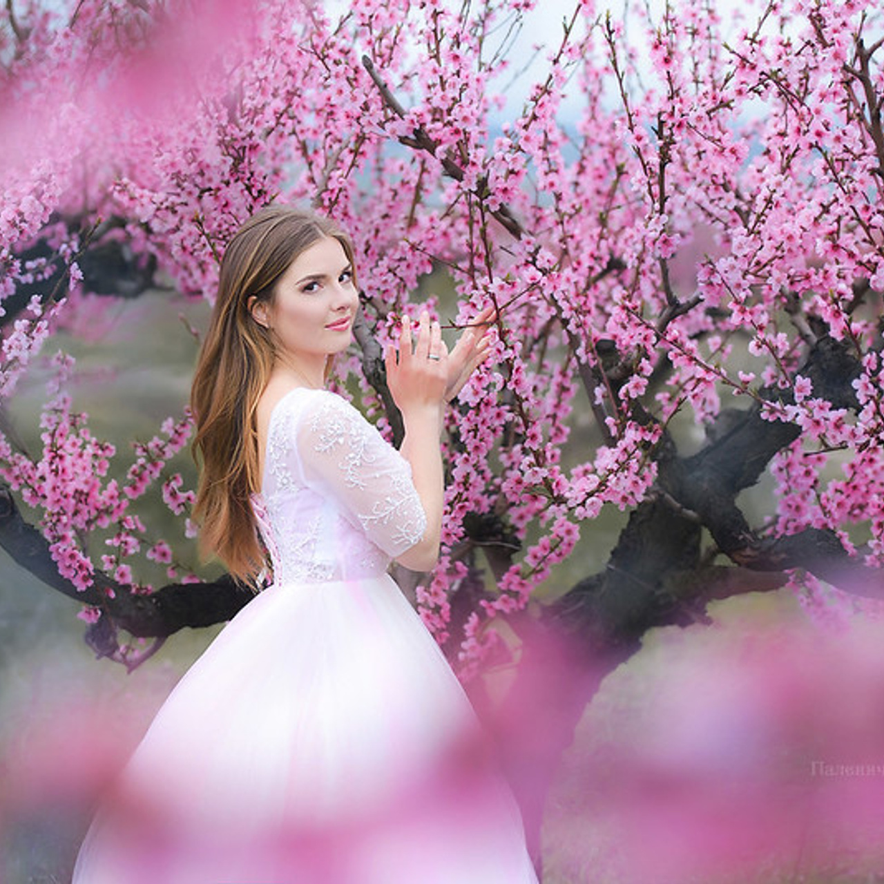 Фотосессия в персиковых садах