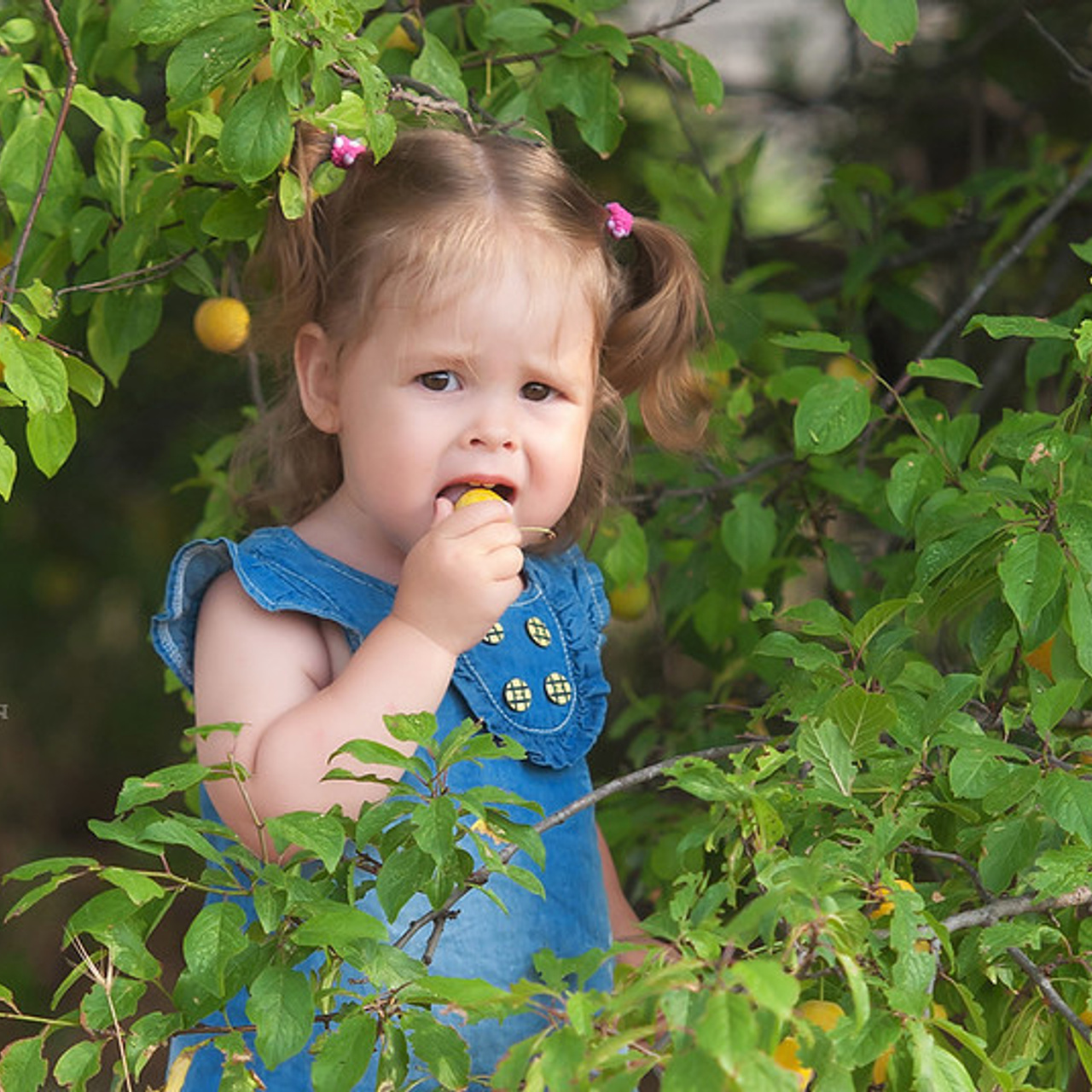 Фотограф Севастополь. Выездная фотосессия