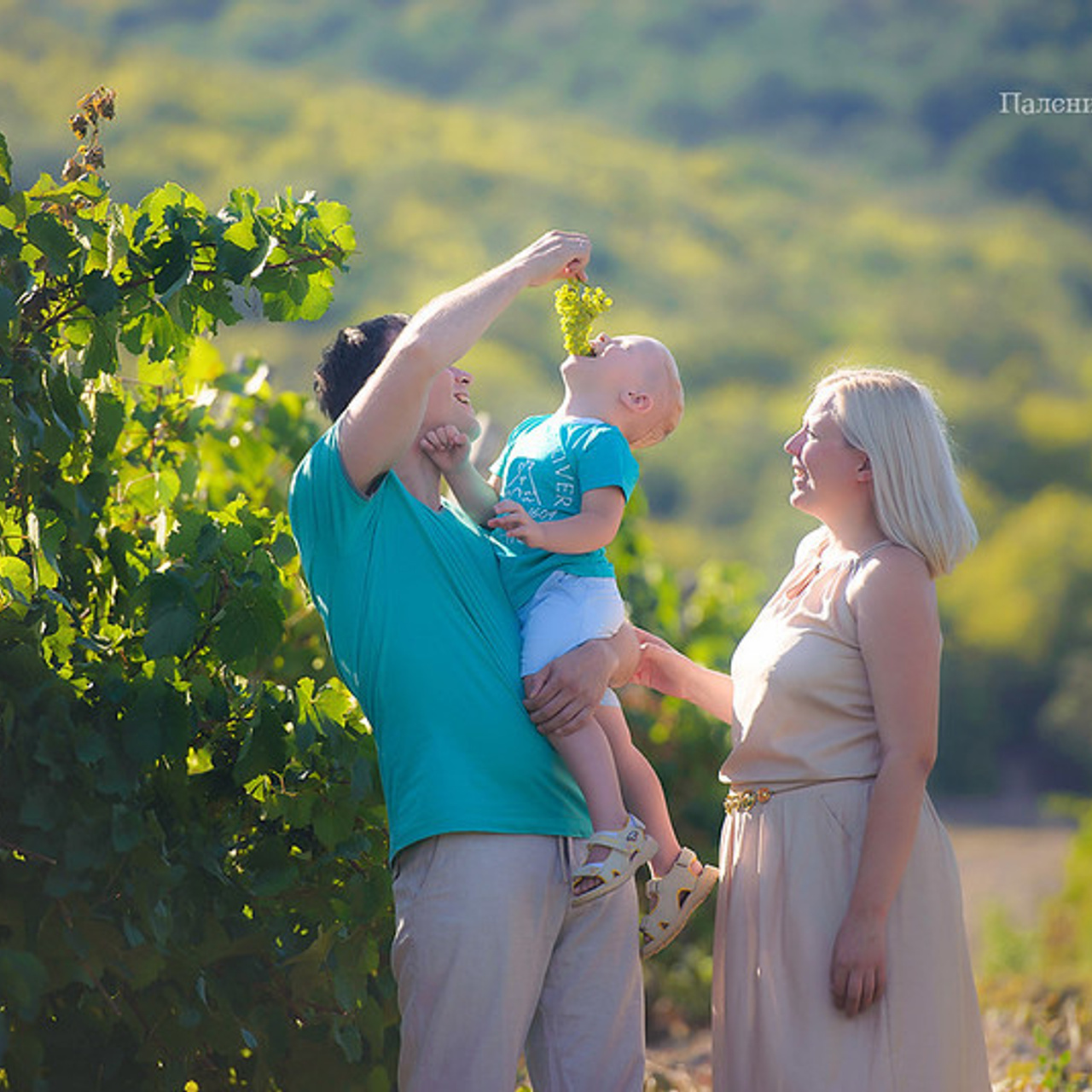 Фотограф Севастополь. Фотосессия на виноградниках