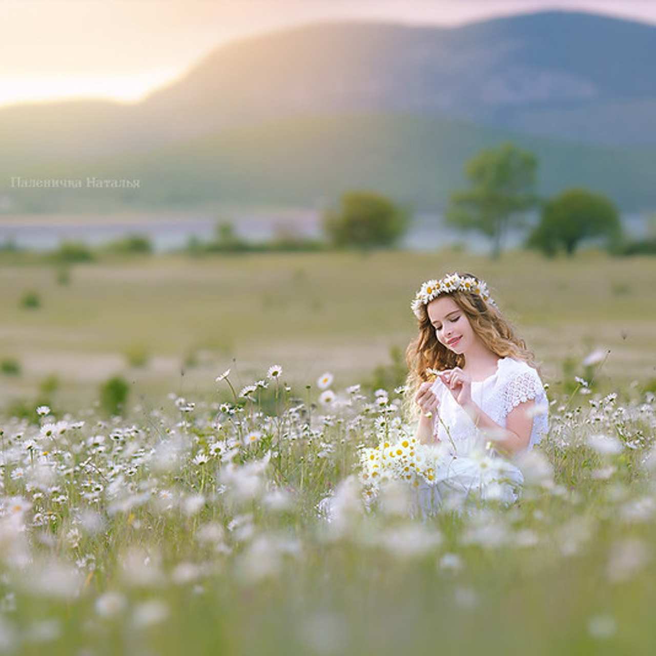 Фотосессия в ромашках в Севастополе и Крыму