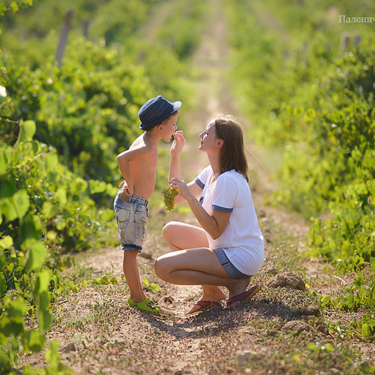 фотосессия на виноградниках Севастополь