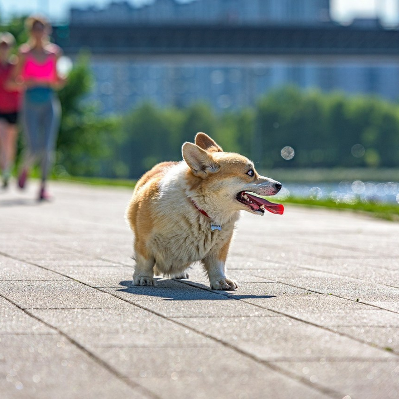 Отзывы. Репортажный фотограф Сергей Квартальнов