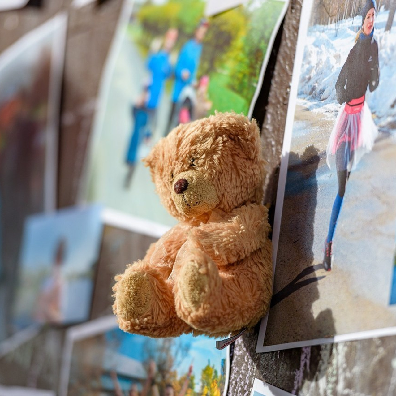 Отзывы. Репортажный фотограф Сергей Квартальнов