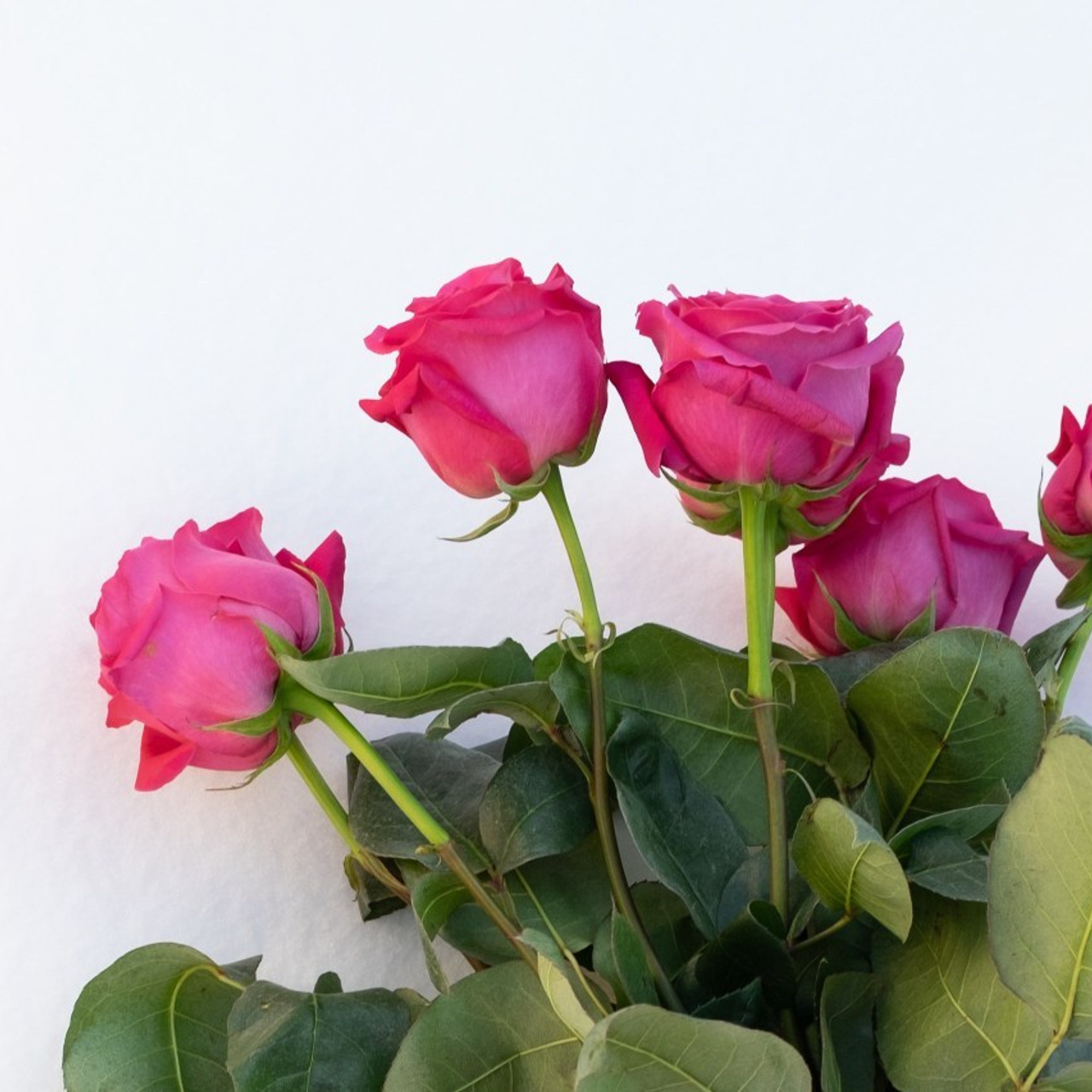 Отзывы. Фототерапия «Пульс СЧАСТЬЯ»