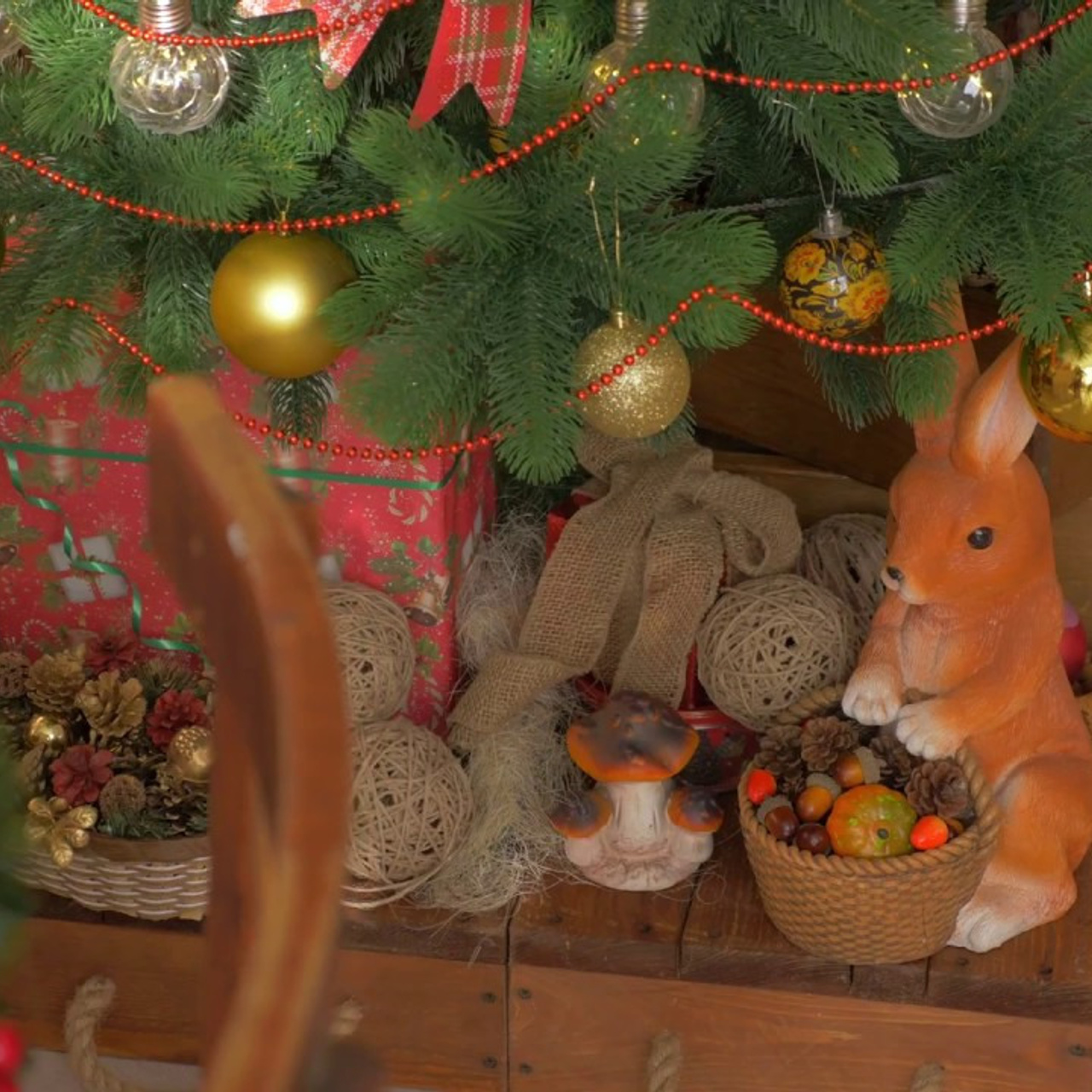 Фото студия. Eewa.ru