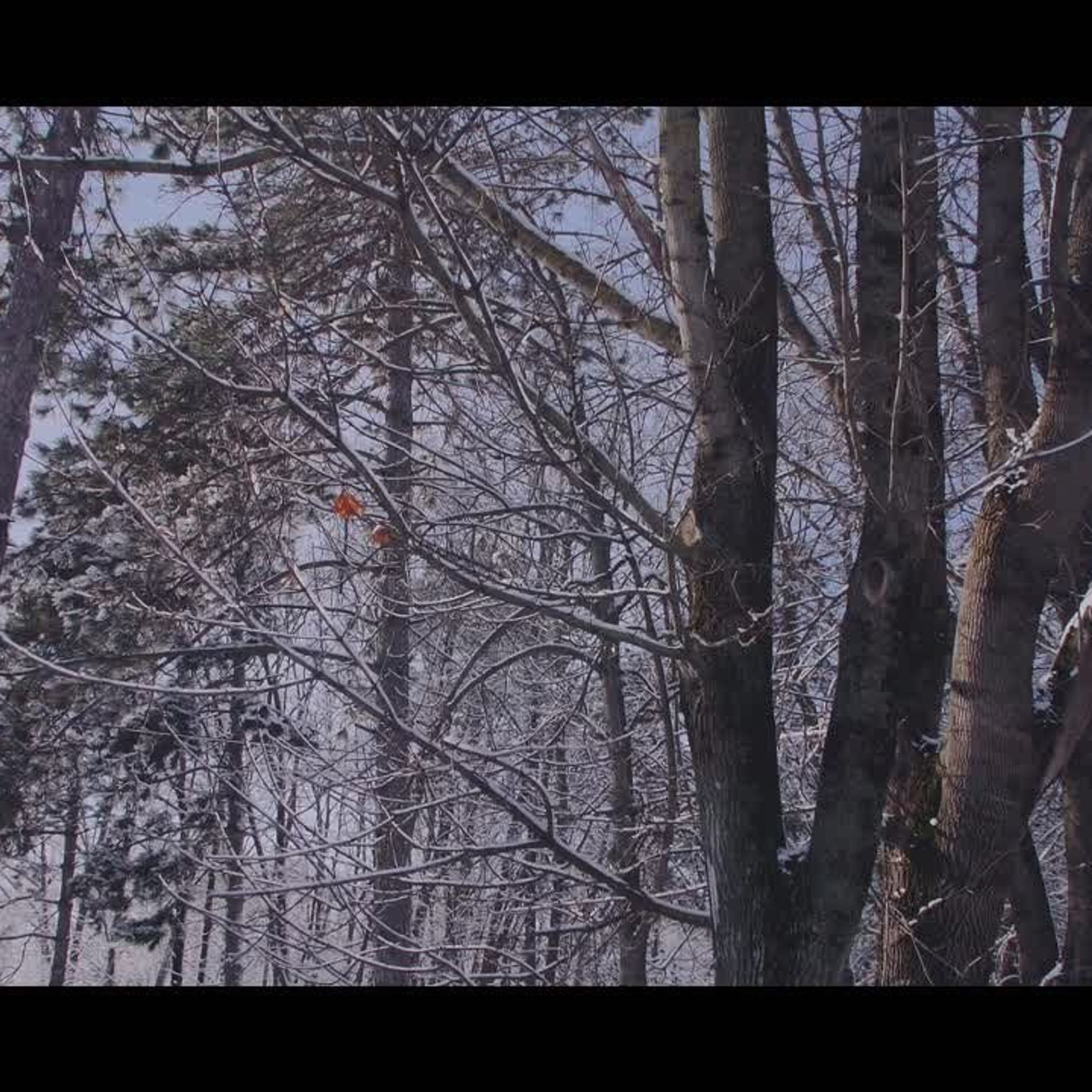 Свадебная прогулка Клип. Eewa.ru