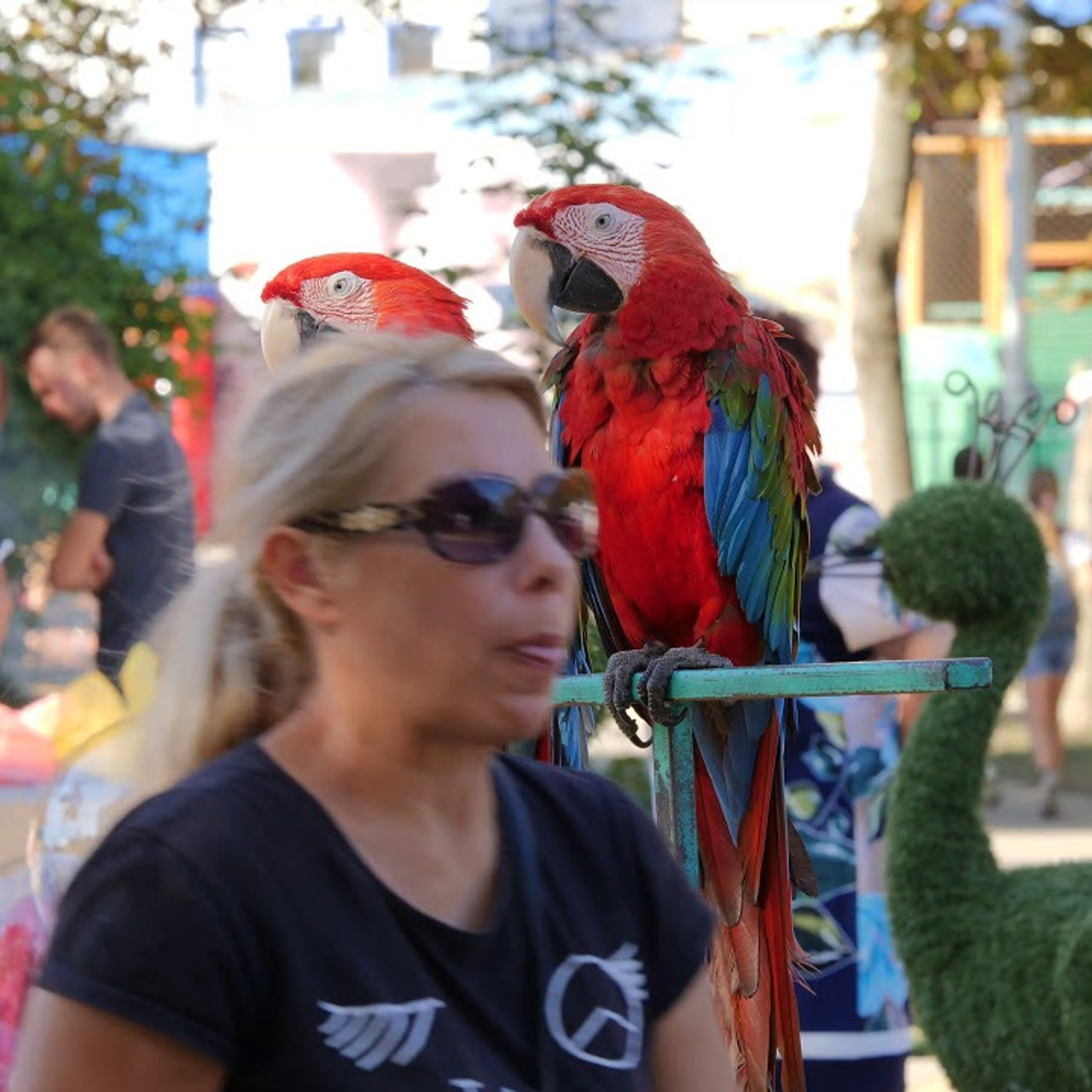 Репортаж. Eewa.ru