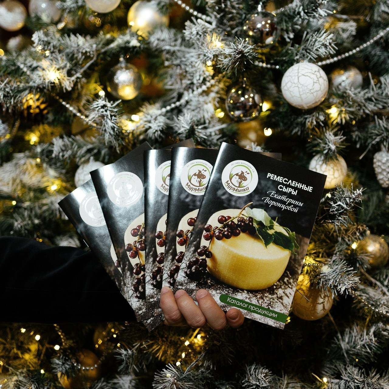 Отзывы. Портретный фотограф Арсения Теплова