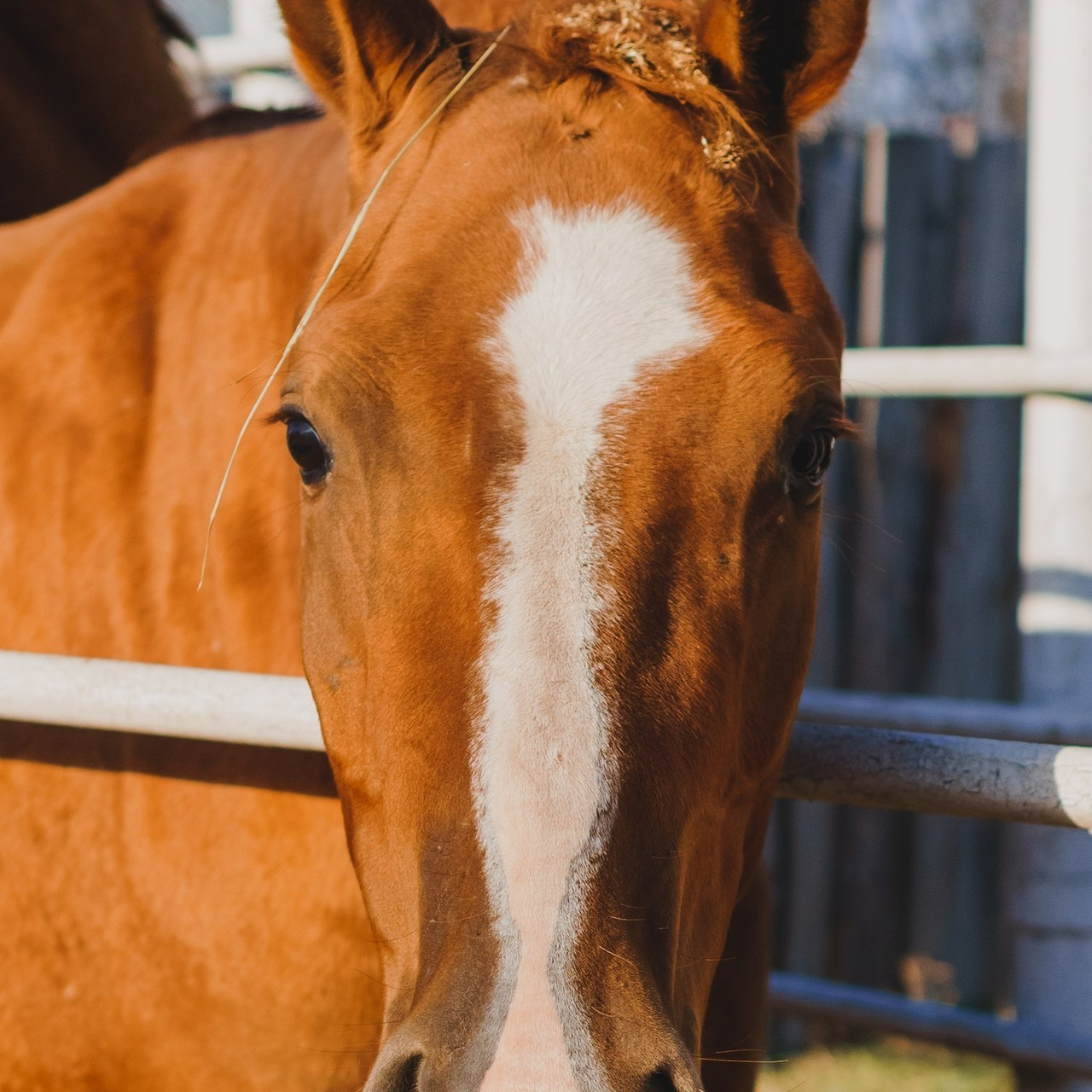 Отзывы. Saamill