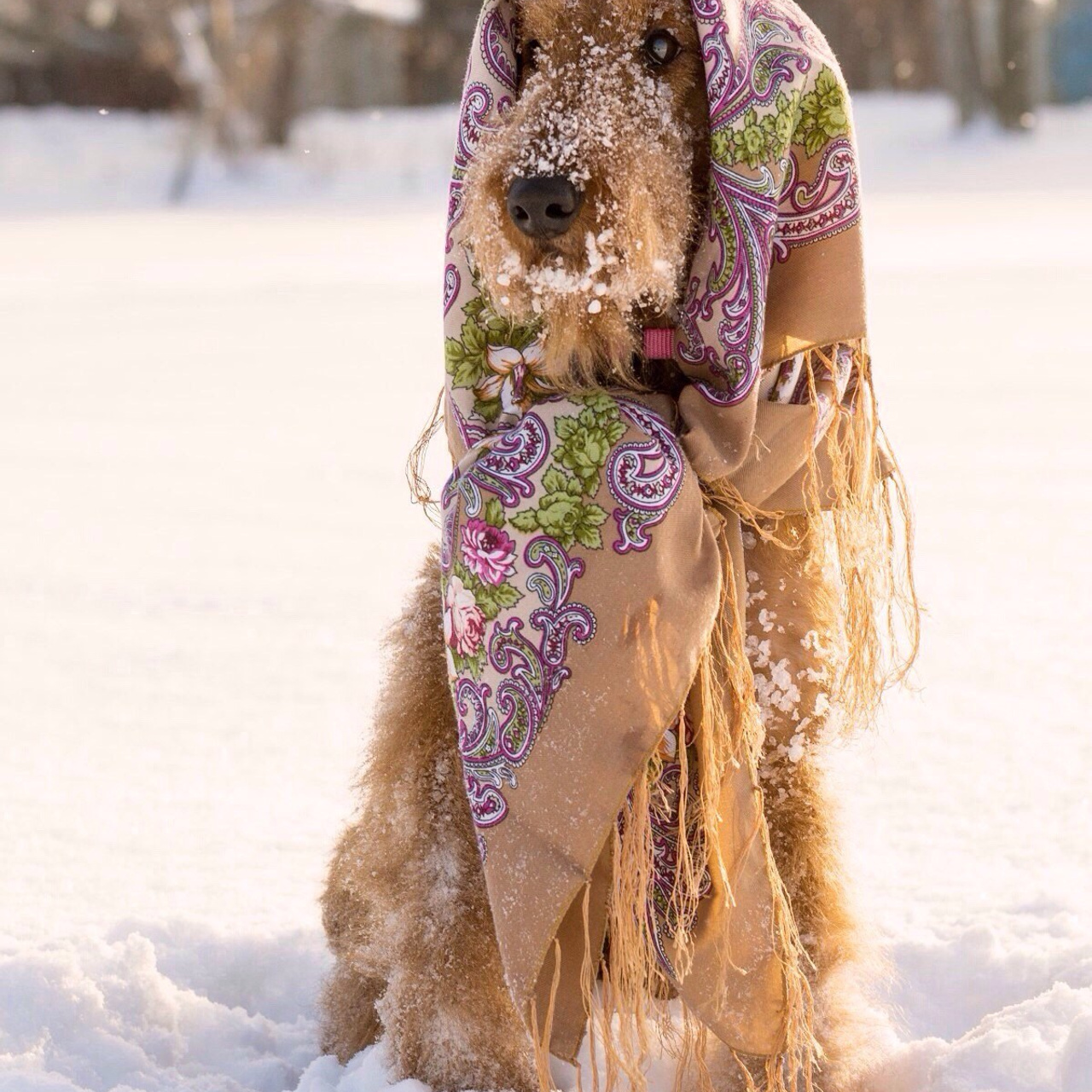 Отзывы. Saamill