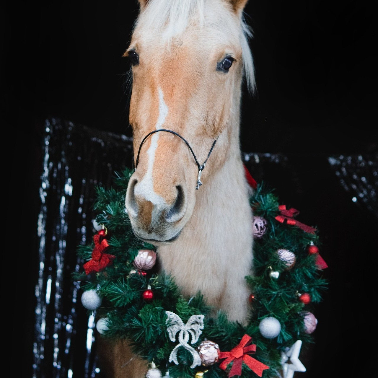 Отзывы. Saamill