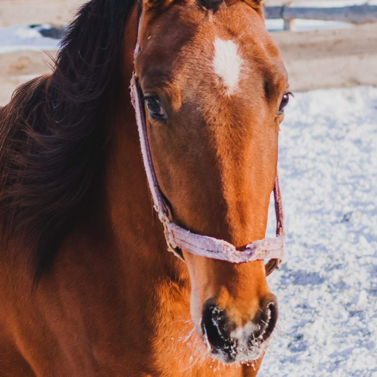 Отзывы. Saamill