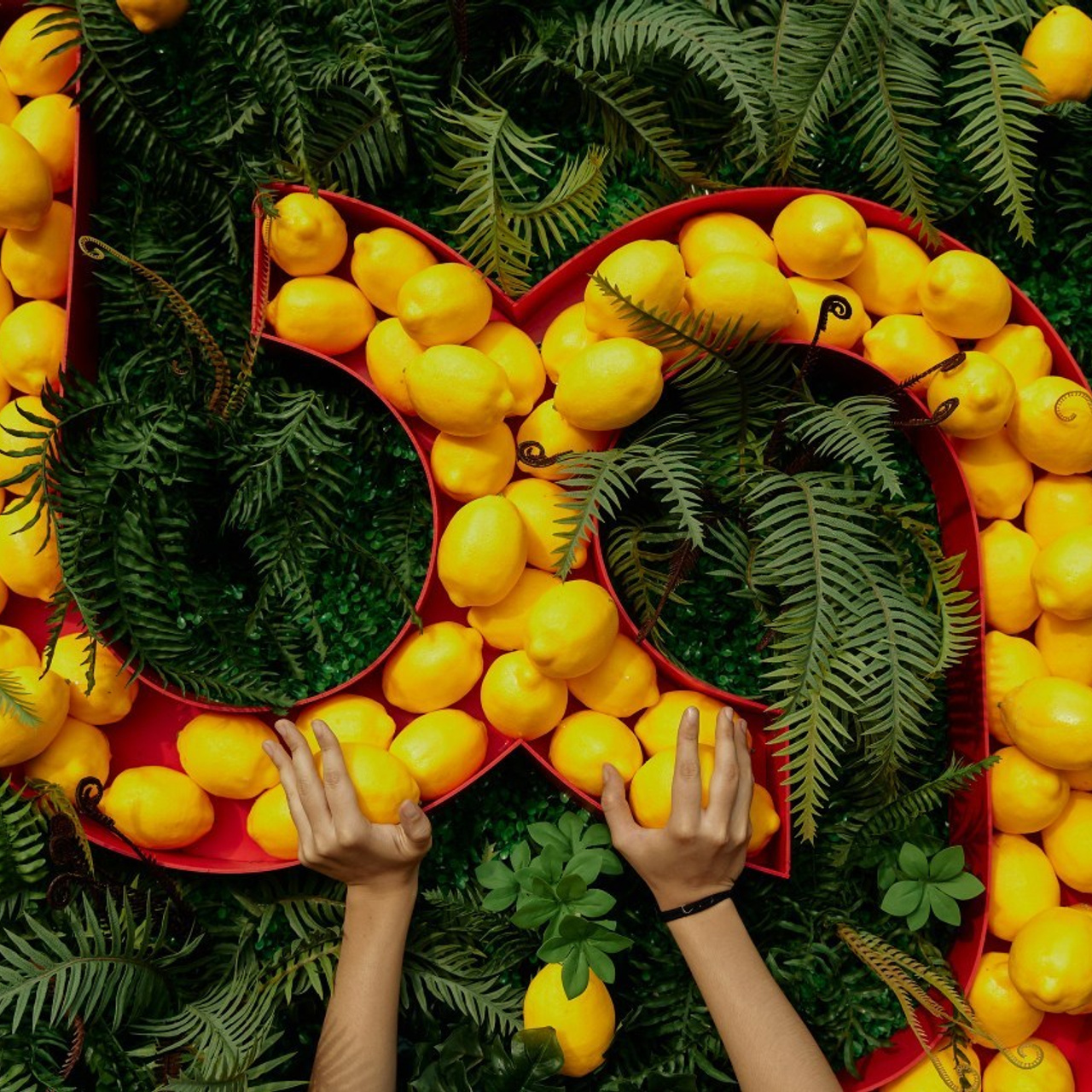 Отзывы клиентов о работе с Дмитрием Мазуркевичем – профессиональный фотограф Екатеринбург. Дмитрий Мазуркевич: Профессиональный Репортажный Фотограф
