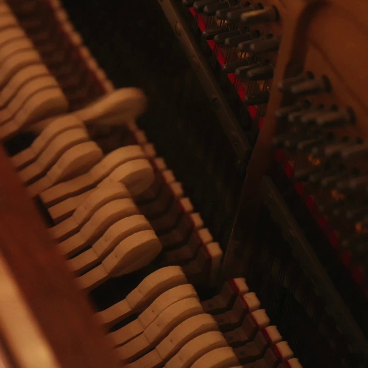 Отзывы клиентов о работе с Дмитрием Мазуркевичем – профессиональный фотограф Екатеринбург. Дмитрий Мазуркевич: Профессиональный Репортажный Фотограф