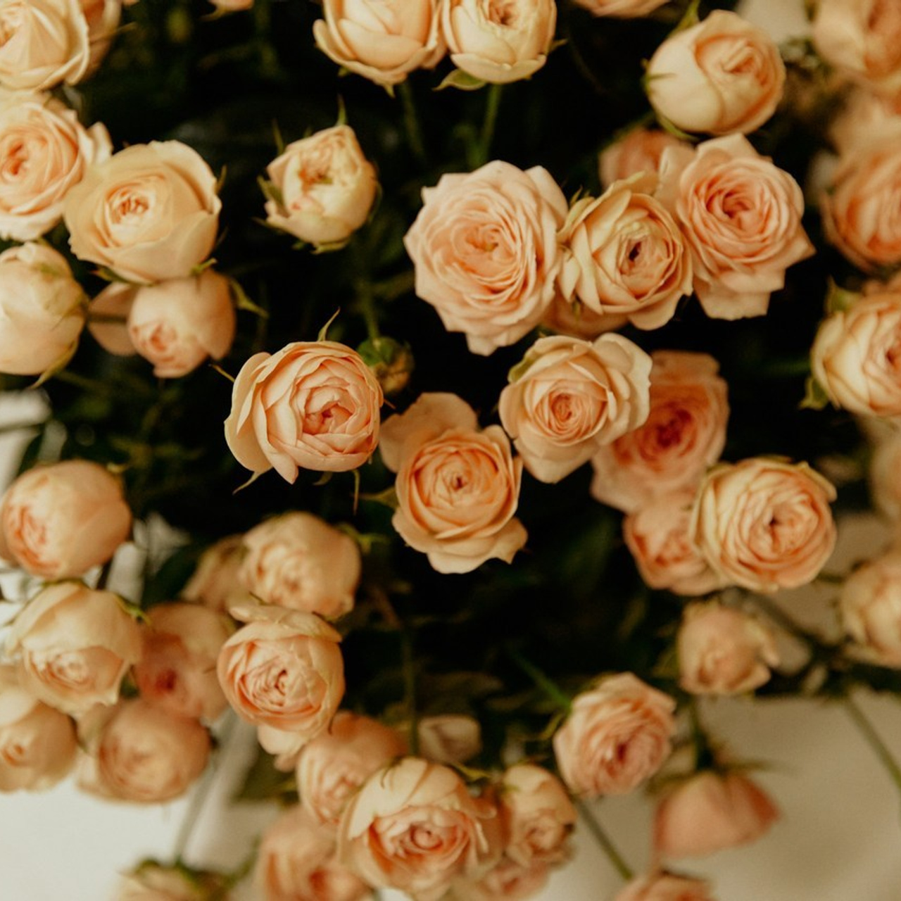 Отзывы клиентов о работе с Дмитрием Мазуркевичем – профессиональный фотограф Екатеринбург. Дмитрий Мазуркевич: Профессиональный Репортажный Фотограф