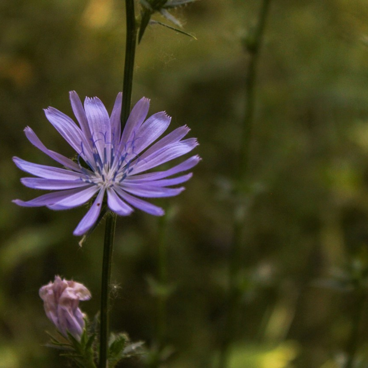 Отзывы. Фотограф в Казани / Регина Суфиянова