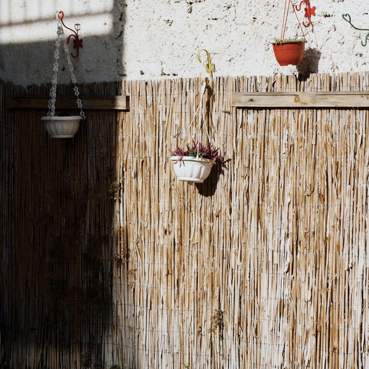 Отзывы. Фотограф, визуальный артист, режиссер коротких фильмов в Нови Сад Жанна Тюгай