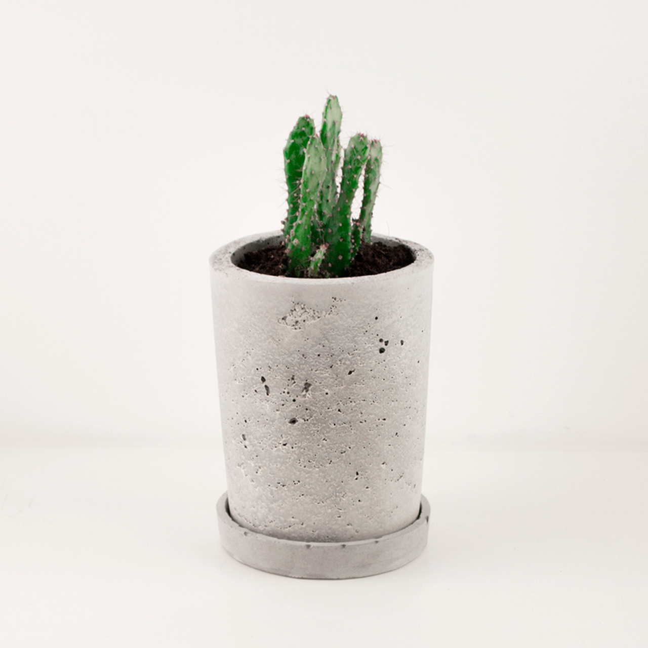 Портфолио. Дизайн интерьера в Петербурге Ворфаламеева Яна