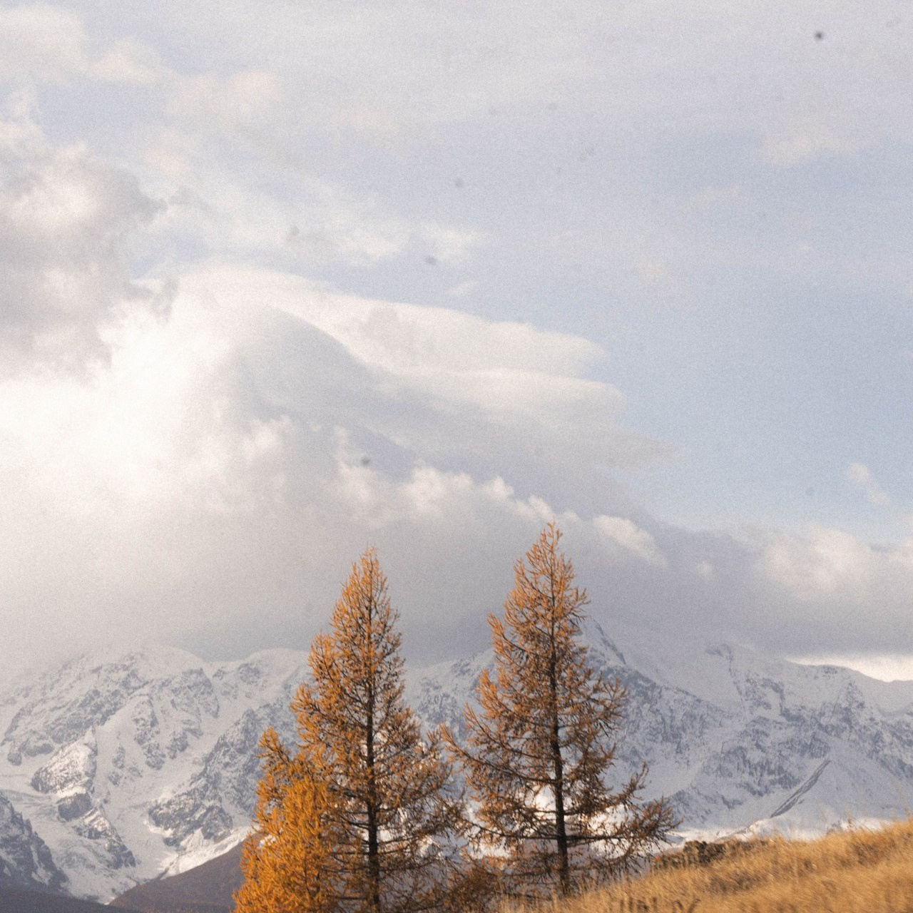 Отзывы. Портретный фотограф Анастасия