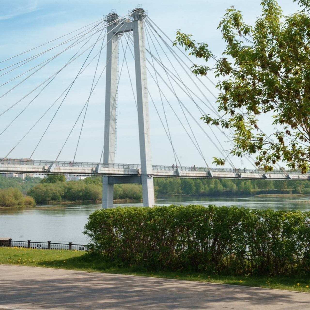Отзывы. Детские выпускные альбомы в Красноярске