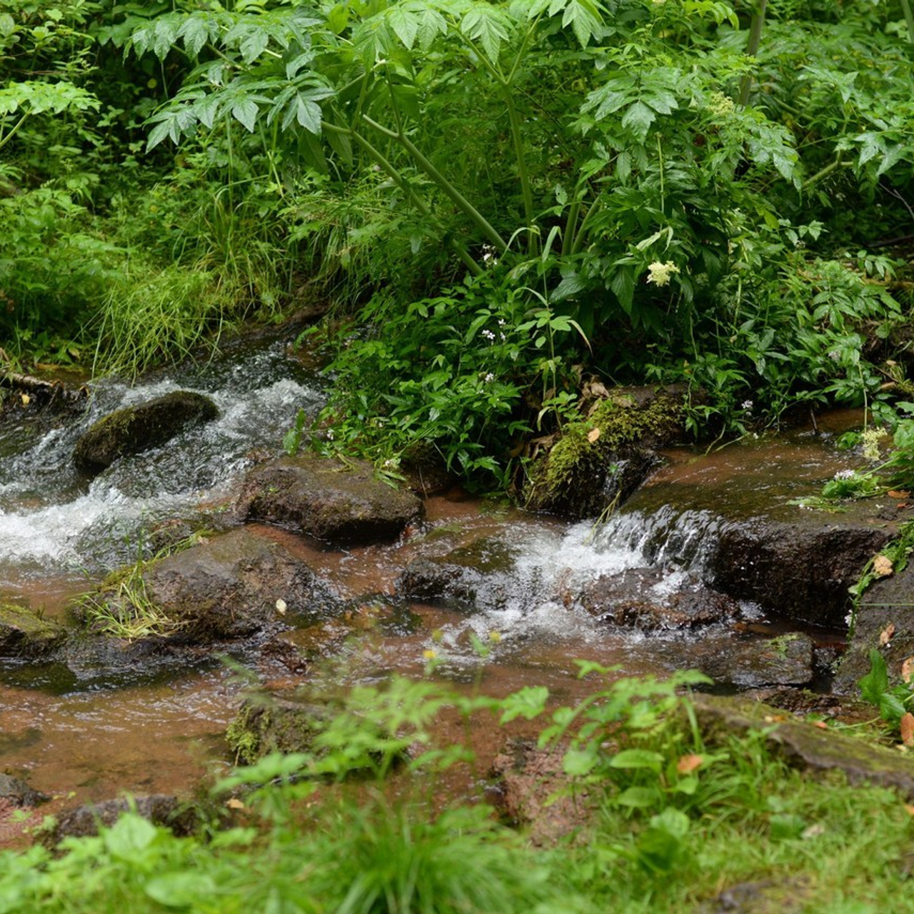 Отзывы. Фотограф в Красноярске Шепелева Мария