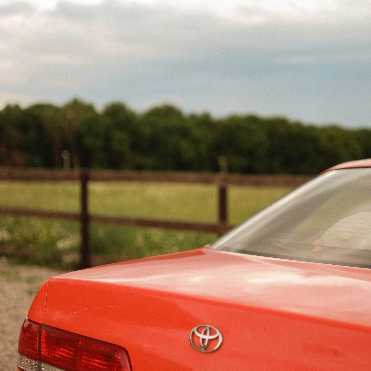 Отзывы. Фотограф Екатерина Разинкова