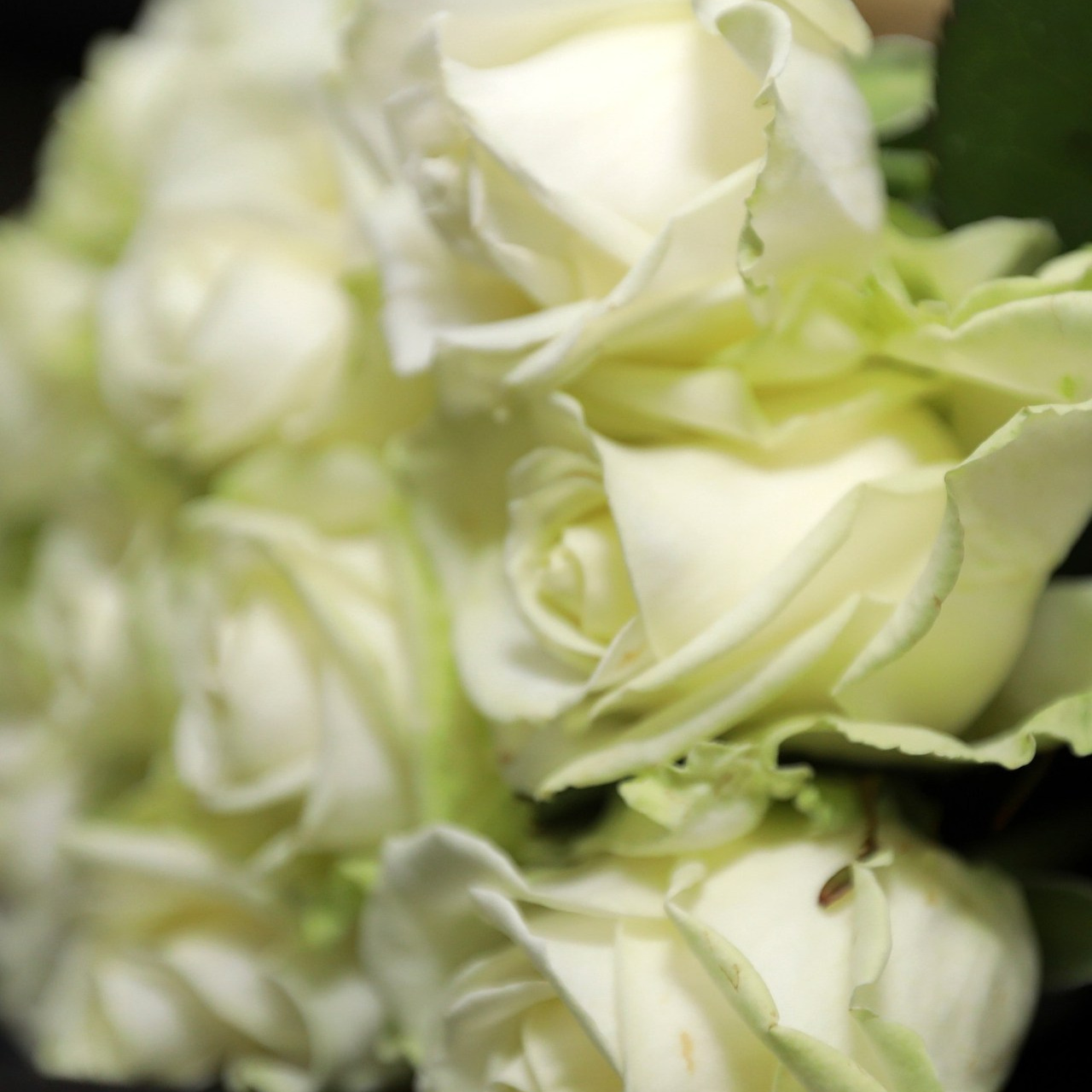 Отзывы. Выпускные альбомы в Липецке. medlori fotobook фотосессии, свадьбы, юбилеи, крестины. Medlori fotobook Выпускные альбомы в Липецке Лариса Медведева