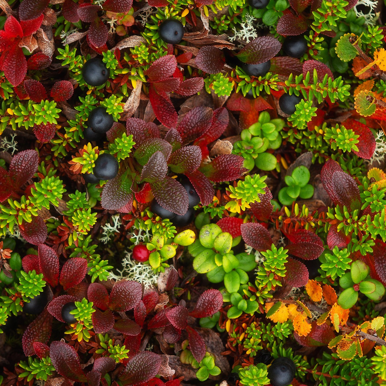 РЫБАЧИЙ 2025. Фототуры и обучение пейзажной фотографии