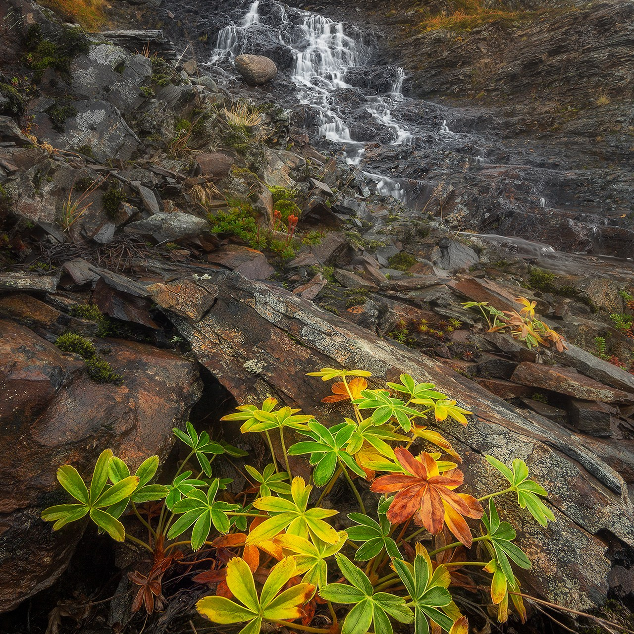 РЫБАЧИЙ 2025. Фототуры и обучение пейзажной фотографии