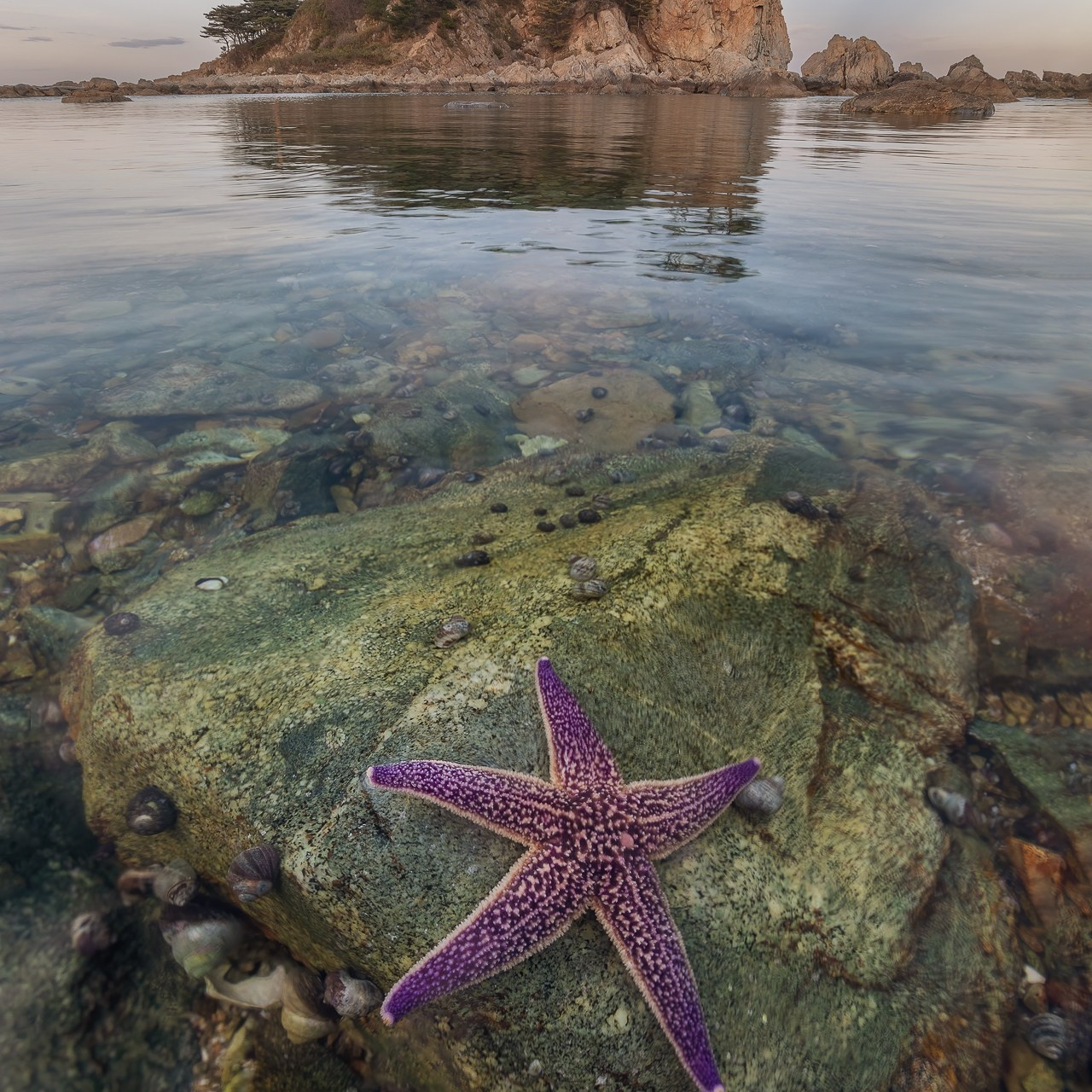 Фототур по Приморью. Фототуры и обучение пейзажной фотографии