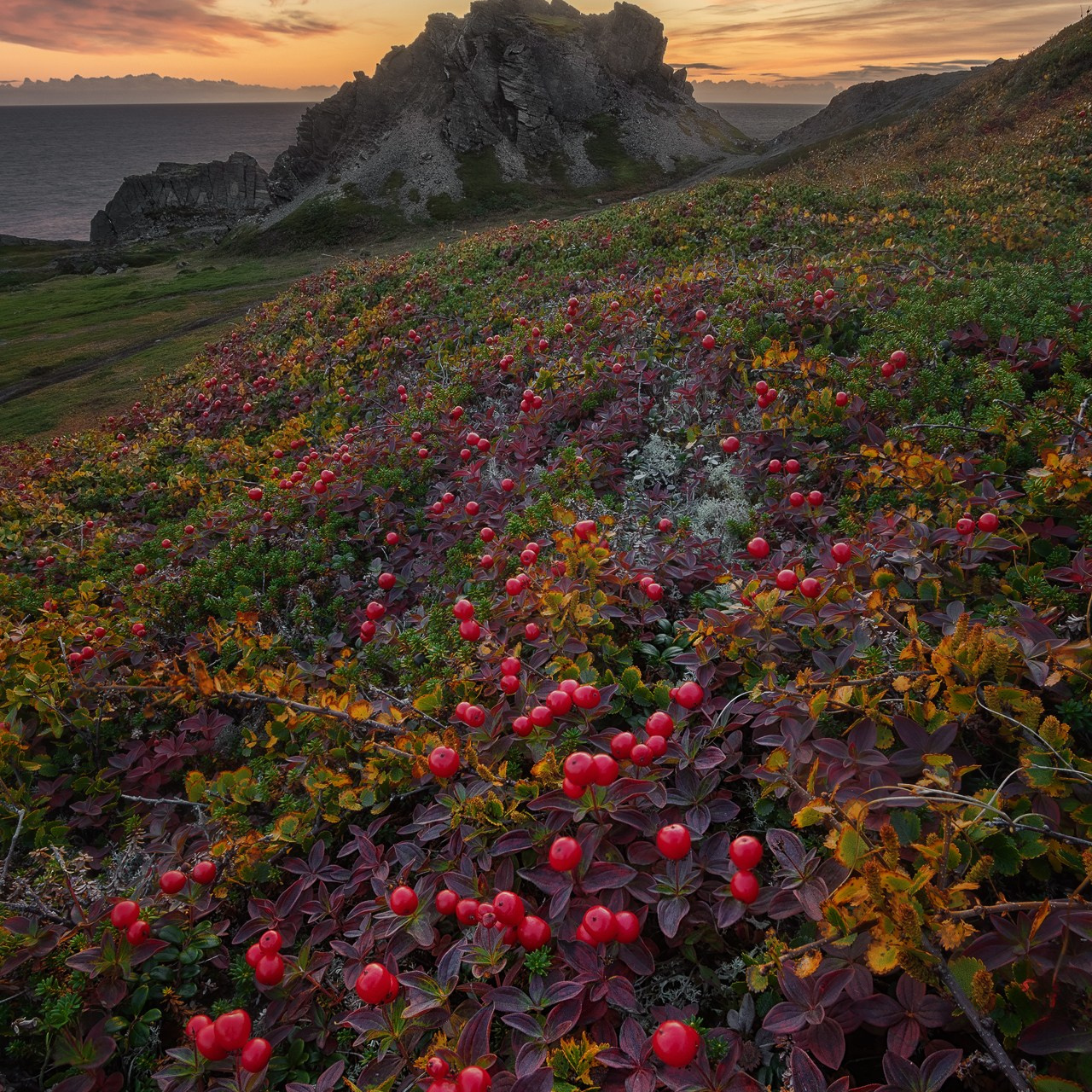 РЫБАЧИЙ 2025. Фототуры и обучение пейзажной фотографии