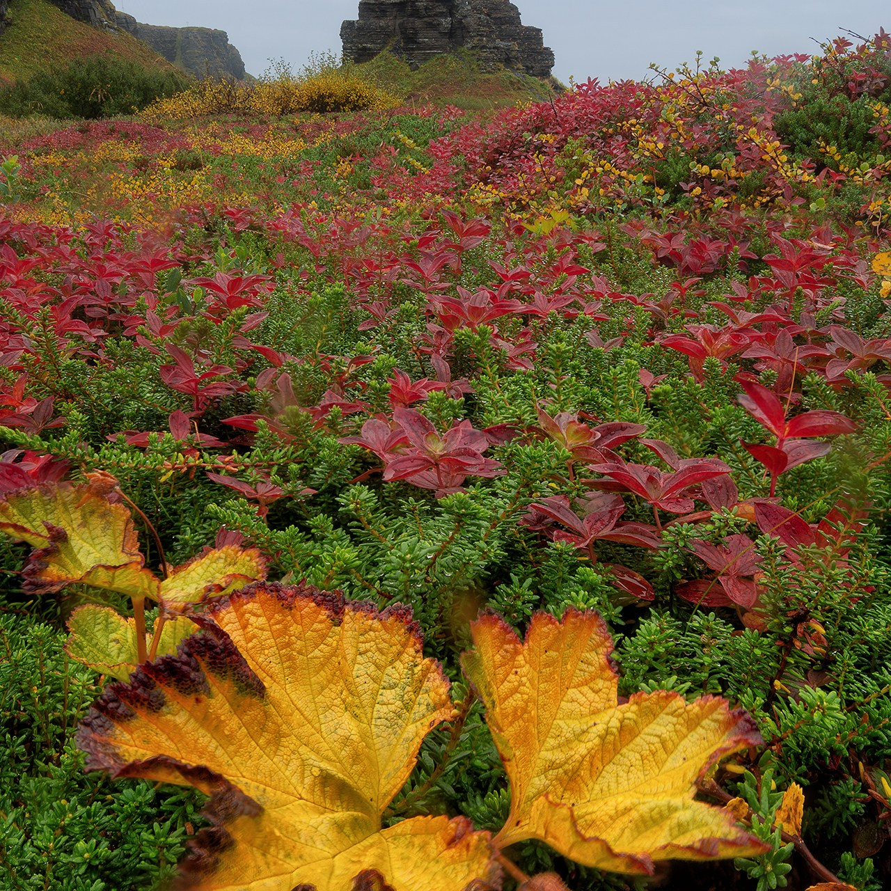 РЫБАЧИЙ 2025. Фототуры и обучение пейзажной фотографии