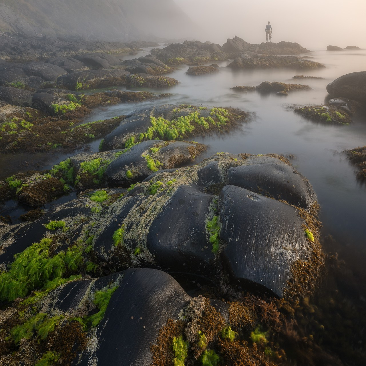 Фототур по Приморью. Фототуры и обучение пейзажной фотографии