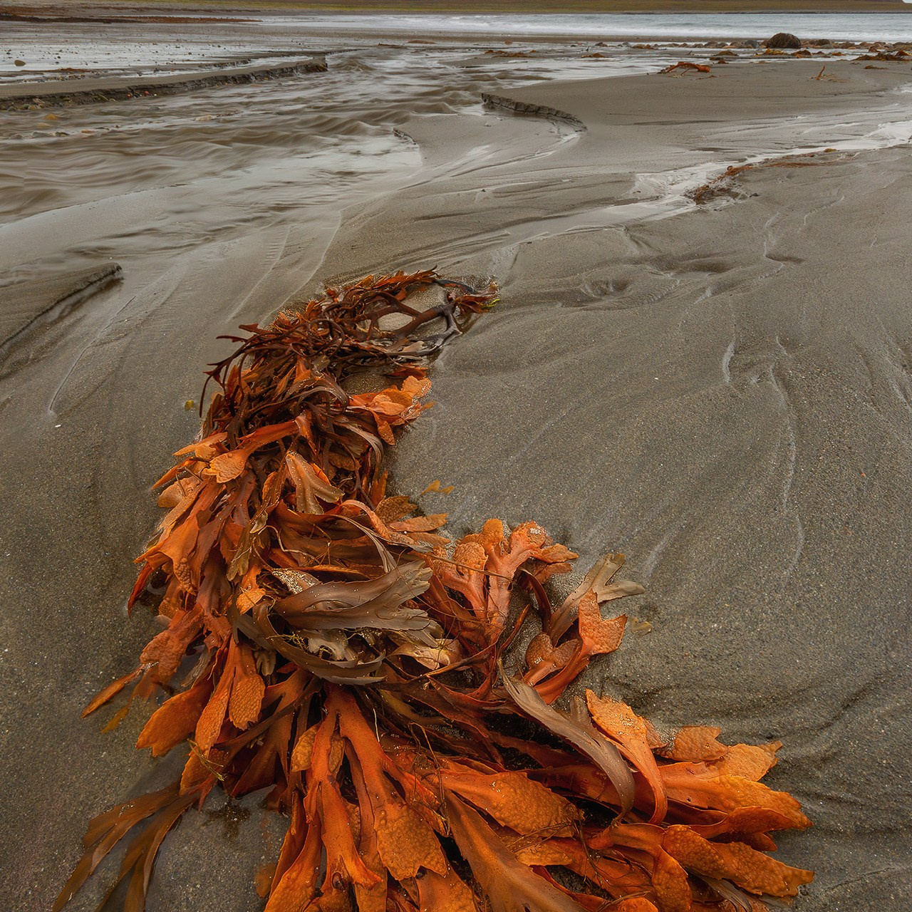РЫБАЧИЙ 2025. Фототуры и обучение пейзажной фотографии