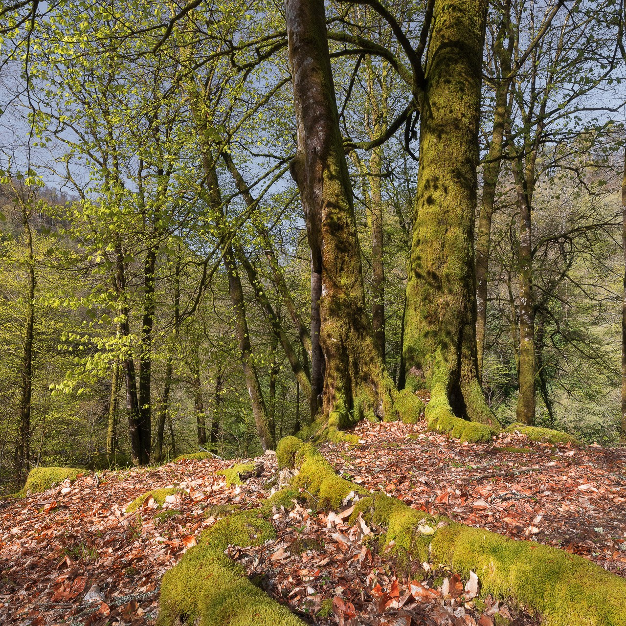 КРАСНОДАРСКИЙ КРАЙ 2027. Фототуры и обучение пейзажной фотографии