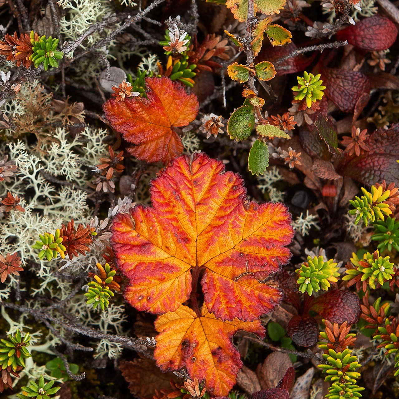 РЫБАЧИЙ 2025. Фототуры и обучение пейзажной фотографии