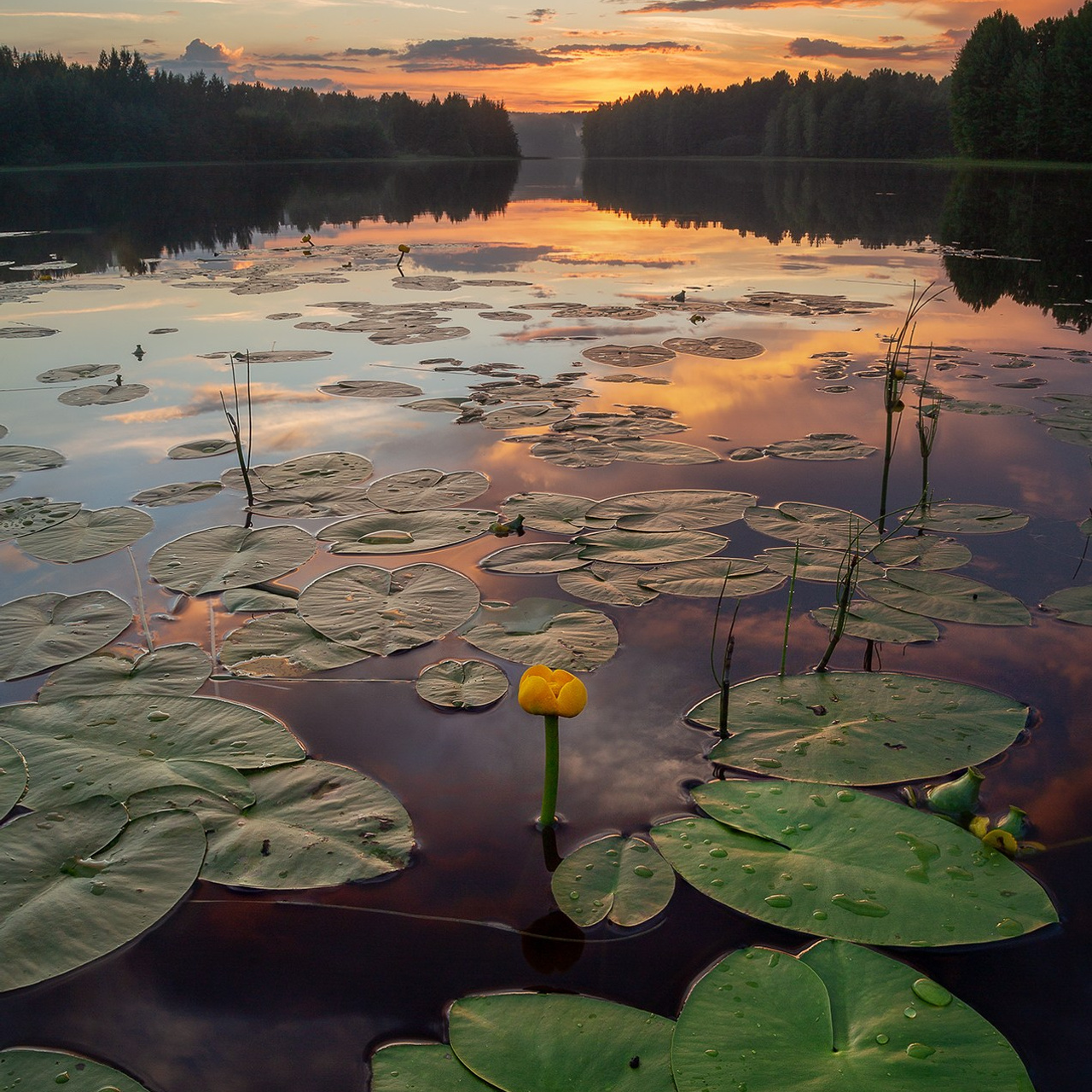 КЕНОЗЕРО 2026. Фототуры и обучение пейзажной фотографии