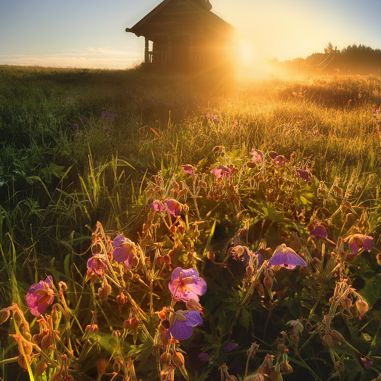 КЕНОЗЕРО 2026. Фототуры и обучение пейзажной фотографии