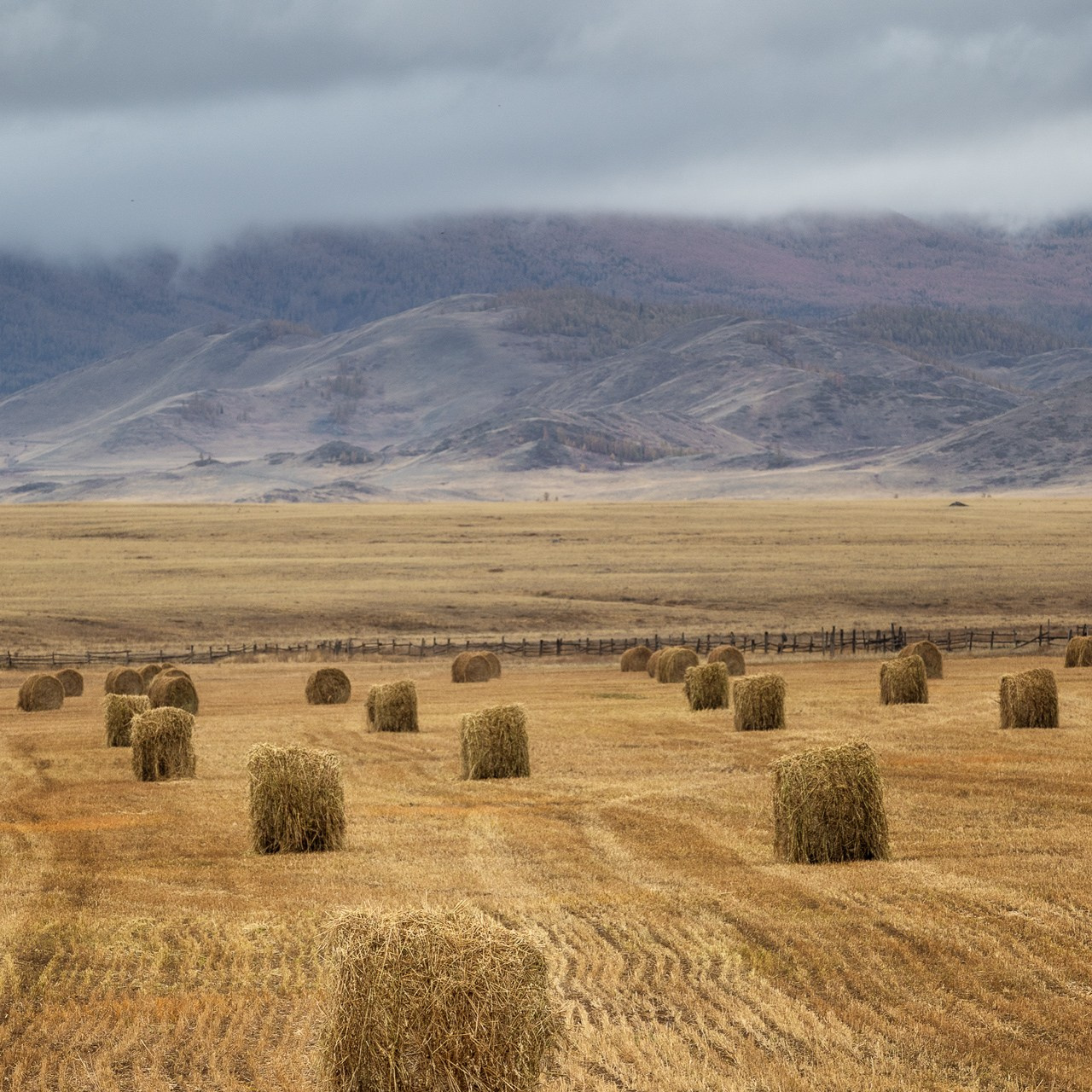 АЛТАЙ 2026. Фототуры и обучение пейзажной фотографии