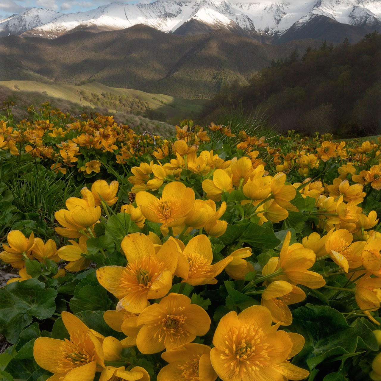 ПРИЭЛЬБРУСЬЕ И ИНГУШЕТИЯ 2025 — 2. Фототуры и обучение пейзажной фотографии